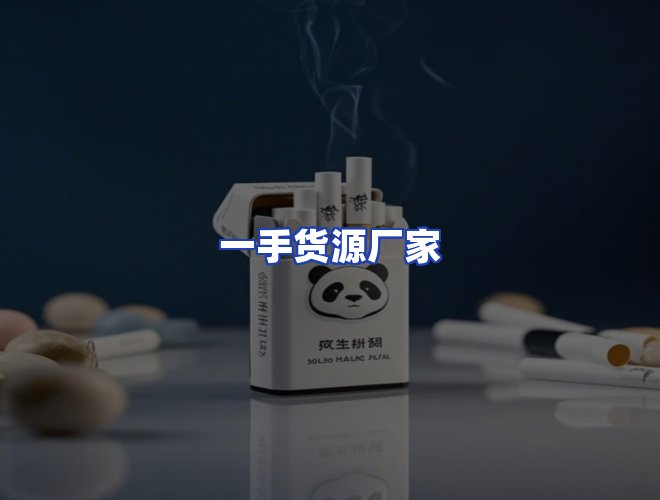 专业团队